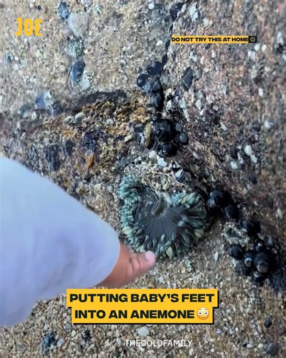 The way it wrapped around his little foot 😱 | JOE.co.uk