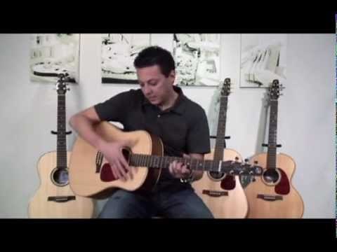 Seagull Maritime SWS