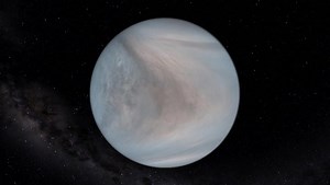 Does Life Survive in Venus’ Atmosphere?