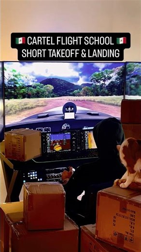 😂 CARTEL FLIGHT SCHOOL #mexico #racing #cargo #dhl #aviation #flight #simulator #fs22 #fs24 #plane