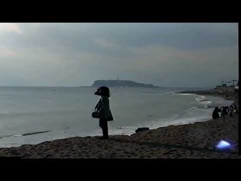 ☘シャイニン・オン君が哀しい