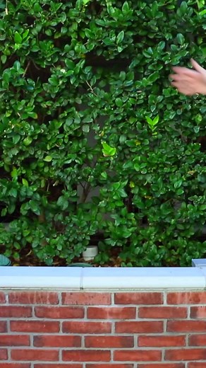 Signs You're A Momma's Boy 😂 | Smile Squad Comedy