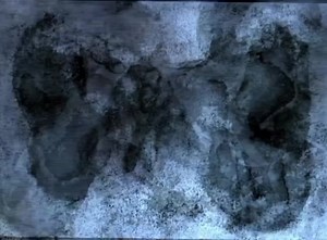 Scott Street Song by Phoebe Bridgers #music #lyrics | Rioo