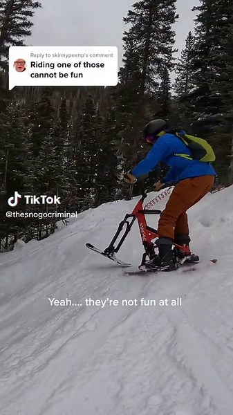 Experience the Thrill of Snogo Skiing in Colorado and Maine