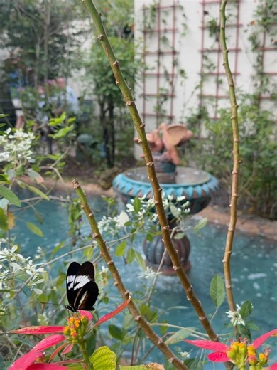 Elizabeth D’Ascensao | 📜 if you’re reading this, I’m already gone (…back to where it’s 17 degrees, having parked on the roof of the garage at logan like a... | Instagram