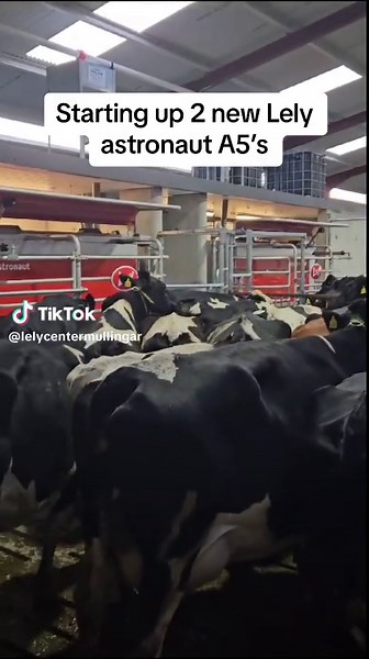 New Lely Astronaut A5 Startup in County Tipperary