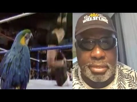 Koko B Ware on the Tragic Death of Frankie