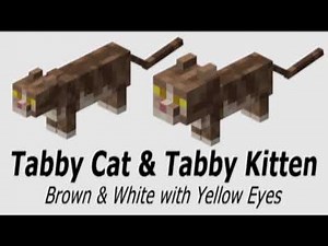 MINECRAFT Tutorial | all about 22 varieties of CATS | Java & Bedrock Edition | Rosey MineBlox