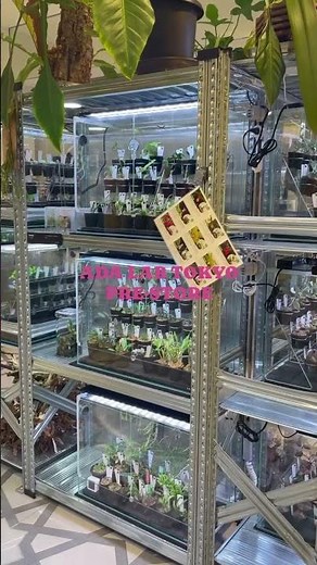 ADA Lab 大丸東京店✨