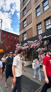 Bleecker St, Greenwich Village 🌺❤️ #newyorkcity | New York Today