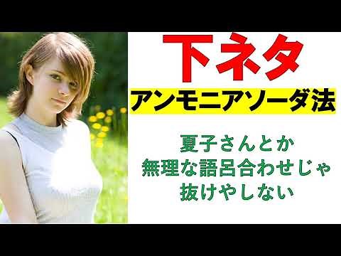 【無機化学】下ネタで完璧に暗記するアンモニアソーダ法（Na2CO3の製法）