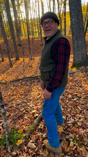 First Scout gets in the way of my peaceful leaf-falling video and then a chipmunk enters the scene. So much drama in the woods. 😂 Solon, Maine 10/19/25 #chipmunks #fall #autumn | Photography by Susannah Warner