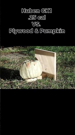 HUBEN GK1 .25 cal with JSB Diabolo King Heavy