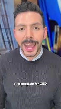 Trump reclassifies marijuana — here's what it means for the cannabis industry