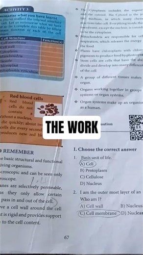 POV:YOU ABSENT FOR A DAY ☠️☠️☠️ #music #song #slowed