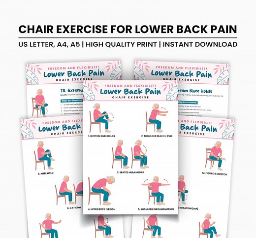 Chair Exercises for Lower Back Pain Relief: Seated Stretches (printable PDF Guide) - Etsy