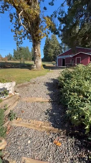 Owner send in! Such a smart boy! | Sahailey Cavaliers