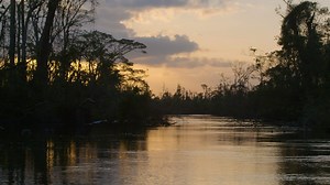 Make the difference. Join an international medical mission. | International Medical Relief