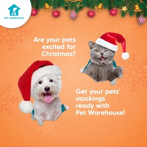 Ready with your pets' Christmas wishlists? Beat the Christmas rush and get your pet supplies ASAP delivered right to your door with Pet Warehouse's Fast and Free Delivery anywhere in Metro Manila! | Pet Warehouse Philippines