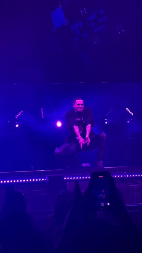 Chris Brown Concert Experience in NYC