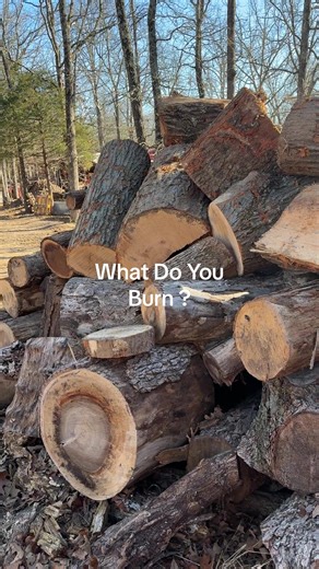 Stacked Logs for Firewood: Oak and Walnut Options