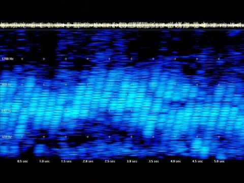"What Haarp Sounds Like" As Discussed By Art Bell