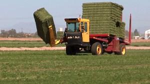 New Holland's self-propelled bale wagons are the only ones that allow you to handle both large and small bales. Stack your hay without breaking a sweat! bit.ly/stackcruiser | New Holland Agriculture