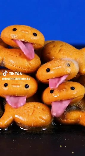 7 Best Homemade Protein Shake Recipes for Every Goal