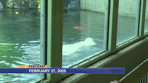 5.6K views · 33 reactions | The federal funding freeze has put a serious stain on the financial resources of some Alaska nonprofits. Plus, all things Iditarod kick off this weekend. Count on Alaska's News Source for up-to-date coverage from the trail. | Alaska's News Source | Facebook