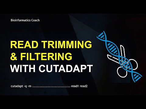 Read Trimming and Filtering Tutorial | Cutadapt Tutorial
