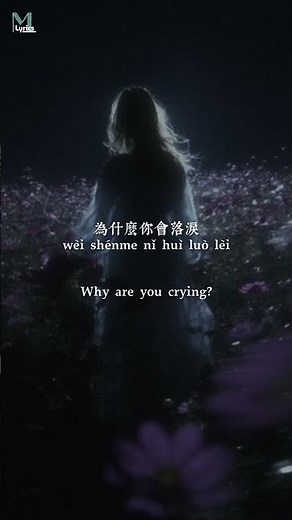 Toyoki (康熙) - Luo Lei (落淚) (DJ) Lyrics #歌词 #lyrics #歌曲歌词 #mandarin #douyin