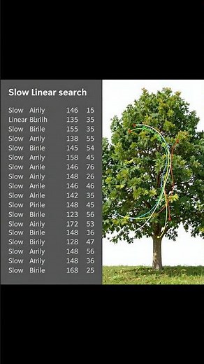 Khám Phá Toán Học Rời Rạc và Ứng Dụng Quan Trọng Trong Cấu Trúc Dữ Liệu