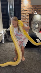 The snake it atleast 3x longer than her... | Dad Jokes