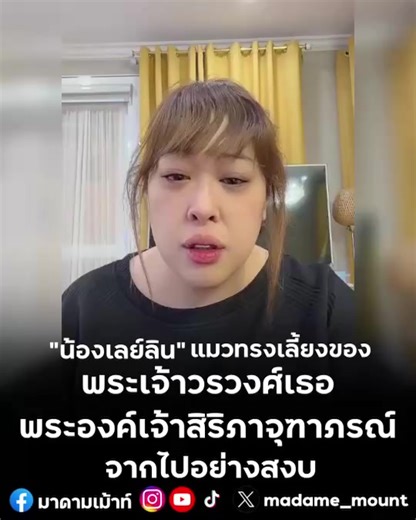 เศร้า… “น้องเลย์ลิน” แมวทรงเลี้ยงของ พระเจ้าวรวงศ์เธอ พระองค์เจ้าสิริภาจุฑาภรณ์ จากไปอย่างสงบ Cr. กองทุนพระเจ้าวรวงศ์เธอ พระองค์เจ้าสิริภาจุฑาภรณ์ #มาดามเม้าท์ #มาดามขอเม้าท์หน่อย