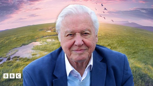 The Legendary Sir David Attenborough Quiz