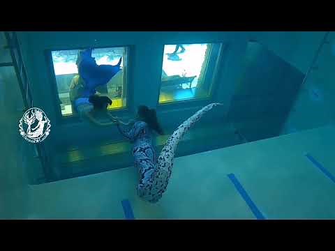 The friendship between snake 🐍 and mermaid 🧜🏻‍♀️