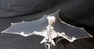 caltech's bat robot stretches its wings