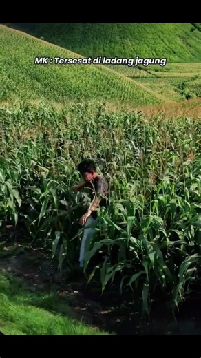 35K views · 581 reactions | Turtle Beach, Lombok.  : BEAUTY OF INDONESIA | Wonderful Indonesia | Facebook