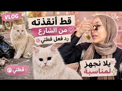 I rescued a cat from the street.. let's get ready for an occasion