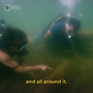 22K views · 401 reactions | Archaeologists explore the sunken ruins (and tombs!) of a 4th-century basilica in Turkey’s Lake Iznik. "The Sunken Basilica" premieres this Wednesday 10/9c on Secrets of the Dead. | PBS | Facebook