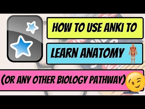 The BEST way to Learn Anatomy in Medical School!! (Anki Image Occlusion)