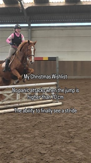 La Femme Cheval 🎀🍋 on Instagram: "Thank you #chestnut #chestnuthorse #horses #horselove #horseriding #horsesofinstagram #horsesofig #horsefashion #horsesoninstagram #horsestagram #horses_of_instagram #equine #equestrianlife #equinelife #equestrian #equinelove #equestrianlife #equestrianlifestyle #equestrianofinstagram #rider #riding #paarden #pferde #pferdemädchen #pferdeschwanz"