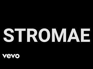 Stromae - Stromae vu par… / Stromae Seen By… (Interview)