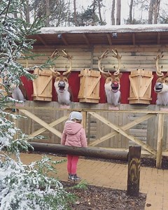 15K views · 263 reactions | The problem with Center Parcs UK is that...