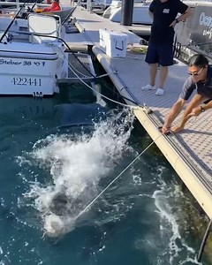 130K views · 193 reactions | These are some huge fish  | Lessons Learned In Life | Facebook