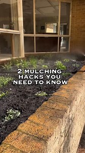 Two mulching hacks you need to know: 1: use plant pots to cover the plants to avoid damge (this also creates a well around the plant to help capture water and seperate the plant from the mulch so it doesn’t rot) 2. Use bigger pots to transfer mulch into the garden bed evenly #howto #gardenhacks #landscaping #gardening #gardenizi | Garden Lovers