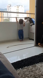 Un chat empeche un enfant de s'approcher du balcon