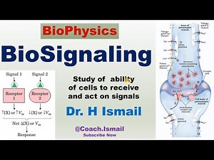 BioSignaling: Mechanisms and Pathways | Biophysics Tutorial