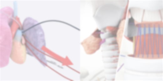 Anatomy of a Surgical Animation: The TVASurg Method - TVASurg - The Toronto Video Atlas of Surgery