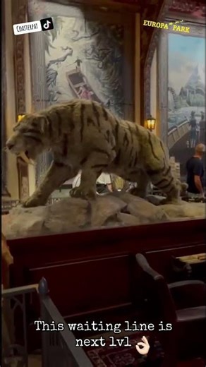 This waiting line in Voletrium 🦉 is next level in Europa-Park Resort 🇪🇺 Jeti